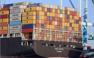 哈薩克斯坦豬肉與越南管材有望進入中國市場，區域經貿合作迎新機遇