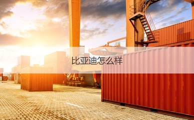 南寧比亞迪薪資與計算機崗位待遇解析及管材行業(yè)對比